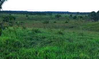 Imagem 2: Lote de Terra Terreno / lote com venda por R$270.000