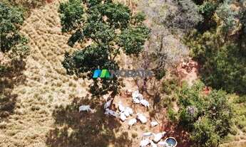 Imagem 6: CORINTO - Fazenda - Zona Rural