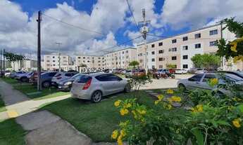 Imagem 7: Apartamento para aluguel possui 49 metros quadrados com 2 quartos