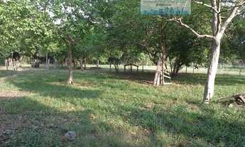 Imagem 5: Fazenda 2.180 hectares Pantanal Alto Região do Mimoso