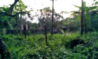 Imagem 2: Área com 3.500m² com vista e acesso ao mar