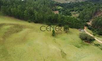 Imagem: 2449 - Ótima Fazendinha de 32 HA, limpa