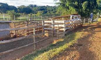 Imagem 2: 01 alqueire excelente para montar um pesqueiro em Trindade-GO