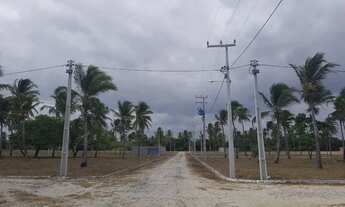 Imagem 6: Loteamento Parque Dos Coqueiros Pronto Para Construir Em Paracuru. n°:por isso gosto tanto