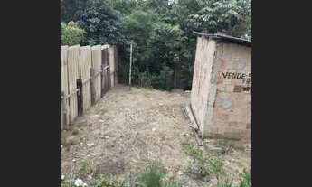 Imagem: Vendo todo doc