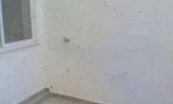 Imagem 6: Humberto de Campos