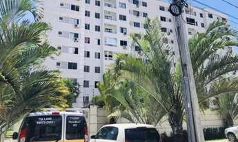 Imagem 7: ALAMEDA DOS IPÊS/ INÁCIO BARBOSA