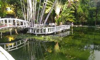 Imagem 6: Sítio com 18000m² e RGI