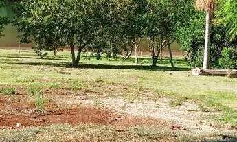 Imagem 5: Lote alagado salto caxias