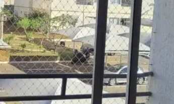 Imagem 5: Apartamento para Venda, Condomínio Colorado 2 no bairro Chácaras Colorado, localizado na c