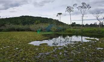 Imagem 2: Velleda oferece magnífica casa de esquina arborizada com 4 dormitórios em cond fechado