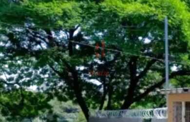 Imagem 2: Terreno Avenida Radial Leste