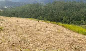 Imagem 2: Iva cercado pela natureza e perto de tudo em Atibaia!