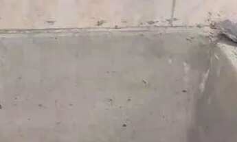 Imagem 4: Casa com 1 dormitório para alugar, 25 m² por R$ 550,00/mês - Jardim Ivana - São Paulo/SP