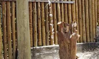 Imagem 6: Casa Mandala à Venda São Jorge, Chapada dos Veadeiros (GO