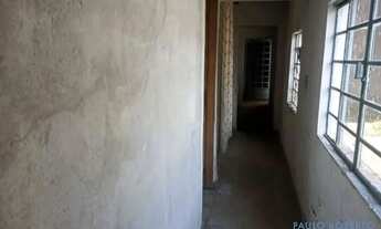 Imagem 4: GALPÃO - SANTO AMARO - SP