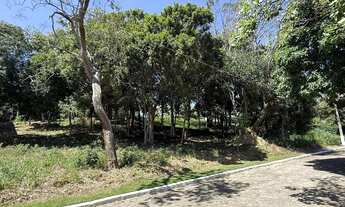 Imagem 7: LOTE 1000m2 BELA VISTA 2 GUARAPARI