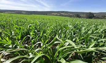 Imagem: Fazenda a venda Lagoa da Jacuba - Água