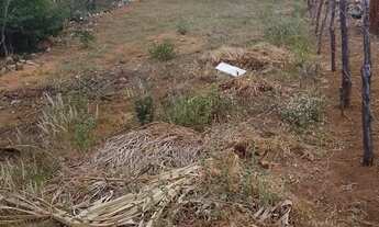 Imagem 5: Oportunidade de ano novo