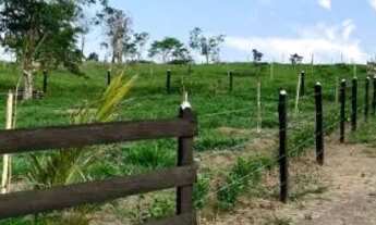 Imagem: TERRENO AMPLO E PLANO (1100m²) - LORENA