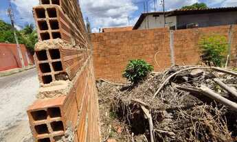 Imagem 4: Vendo terreno bem localizado