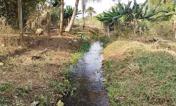 Imagem 4: Sítio 2,0 alqueires, muita água, entre Uberlândia e Monte Alegre
