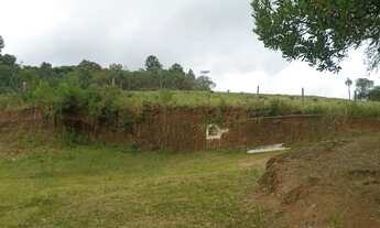 Imagem 5: CHÁCARA / ÁREA 5 HECTARES À VENDA EM TAQUARA - RS