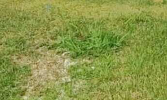 Imagem 2: Terreno à venda, 125 m² por R$ 215.000,00 - Terra Nobre Granja Vianna - Cotia/SP