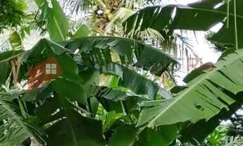 Imagem 6: Itanhangá - Terreno - 1765m²