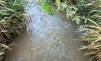 Imagem 4: Fazenda em campina verde 90% lavoura serve