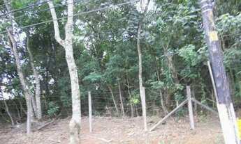 Imagem 4: Granja Viana, Granja Santa Maria, Carapicuíba