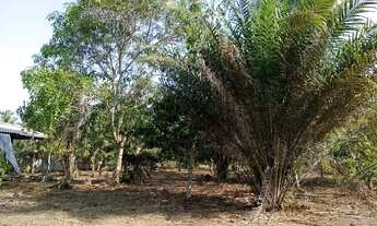 Imagem 4: Lotes Km 26 Am 070