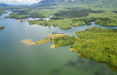 Imagem 6: Refúgio Ecológico, terreno em área de preservação à venda em Piraquara