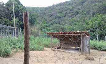 Imagem 4: Excelente sítio, 10 hectares, com casa principal e casa de hóspedes