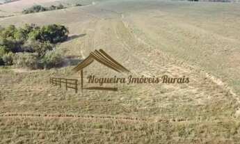 Imagem: Excelente área com 13,74 alqueires na Região