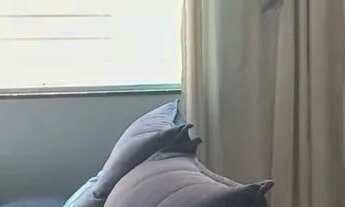 Imagem 7: Casa de condomínio em Avenida Tenente Laudelino Ferreira do Amaral - Vila Jacuí - São Paul