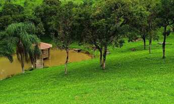Imagem: Arrendamento de pasto pra gado, área localizada