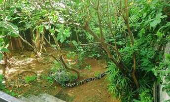 Imagem: Apart mobiliado com natureza e bem centralizado