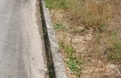 Imagem 2: Lote à venda em rua pública, TABULEIRO DO PINTO, Rio Largo, AL