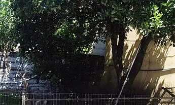 Imagem 7: Vende-se terreno com 2 casas!