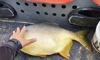 Imagem 7: Beira do rio São Francisco (terreno