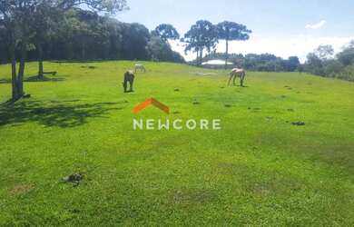 Imagem 7: Chácara em Criúva (caxias do Sul) - Criúva - Criúva/RS