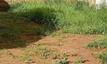 Imagem: LOTE 300M² BRISAS DA MATA,GOIÂNIA