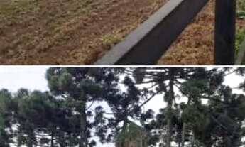 Imagem 2: Terrenos em Campo Largo, Potencial de Valorização. Meio à natureza.Próximo da Urbanização