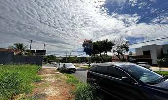 Imagem 3: Terreno em Vila Ana Maria: Oportunidade Ímpar!