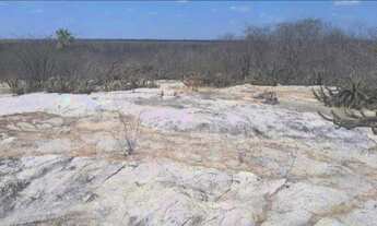 Imagem 4: Fazenda de caju / uruau