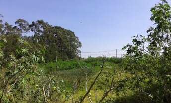 Imagem 6: Área, 23000 m² - venda por R$ 23.000.000,00 ou aluguel por R$ 50.000,00/mês - Parque Indus