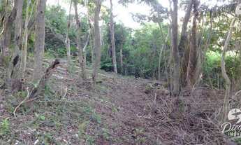 Imagem: Terreno à venda, 190000 m² - Ferrugem