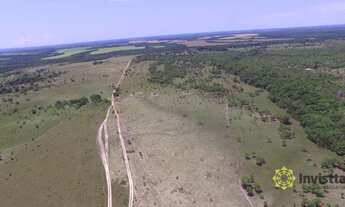 Imagem: Fazenda à venda, 4.000 Hectares em Goianorte/TO