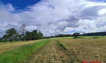 Imagem 5: Mandarim Chapada Terreno com 360 metros
